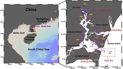 Seasonal dynamics of submarine groundwater discharge in Zhanjiang Bay: an investigative study utilizing 222Rn as a tracer